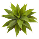 Agave Succulent in Weave Planter