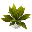 Agave Succulent with Vase (Set of 3)