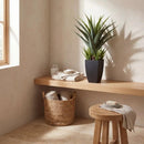 Agave w/Black Planter by Nearly Natural