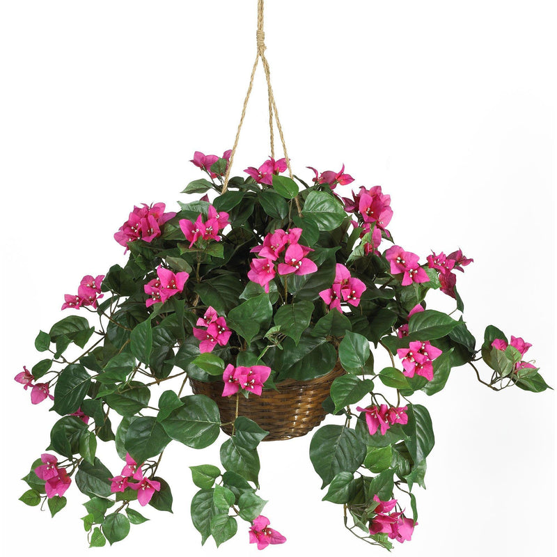 Bougainvillea Hanging Basket Silk Plant