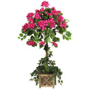34" Bougainvillea Topiary w/Wood Box