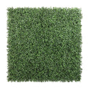 Sample Panel – Dark Boxwood Green Wall (Small Sample) by Designer Plants USA