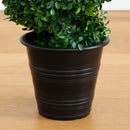 4' Boxwood Spiral Topiary with Planter (Indoor/Outdoor)