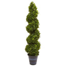 4' Boxwood Spiral Topiary with Planter (Indoor/Outdoor)