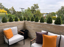 Boxwood Topiary Shrub with Ground Spike 14in – UV Resistant