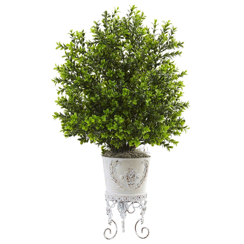 Boxwood with Metal Planter