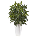 Bracken Fern with White Planter