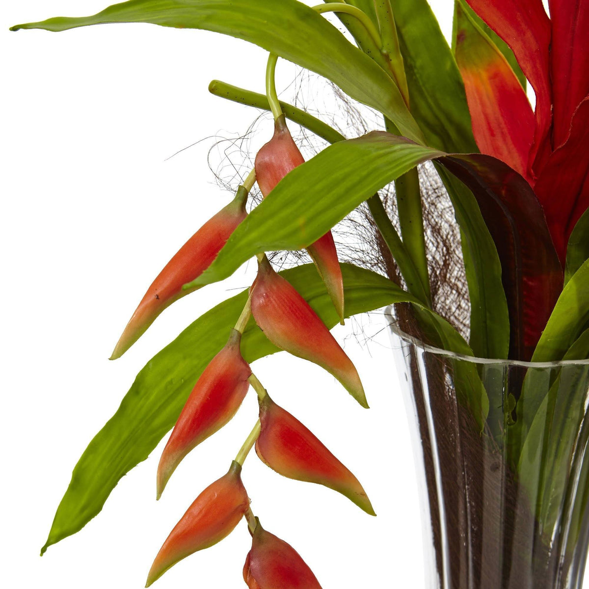 Bromeliad and Heliconia in Vase, photo 2 of 4