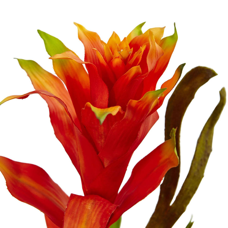 Bromeliad and Heliconia in Vase, photo 3 of 4