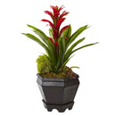 Bromeliad in Black Hexagon Planter by Nearly Natural