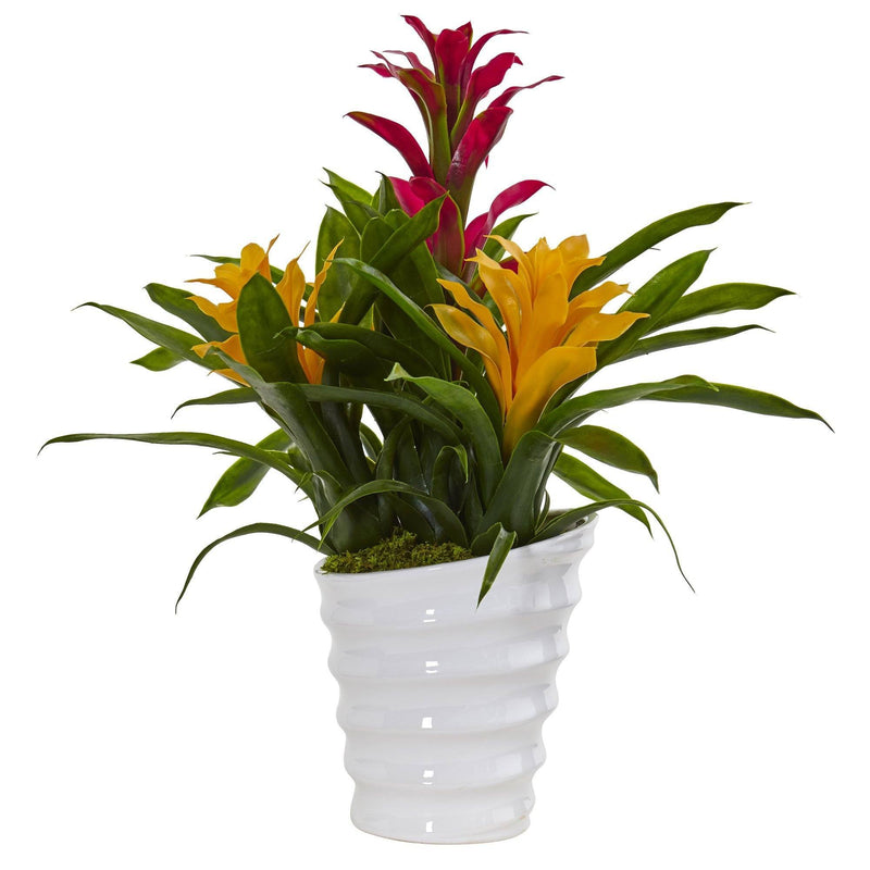 Bromeliad in White Swirl Vase, photo 3 of 3