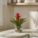 Bromeliad with Vase Arrangement
