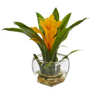 Bromeliad with Vase Arrangement (Set of 2)