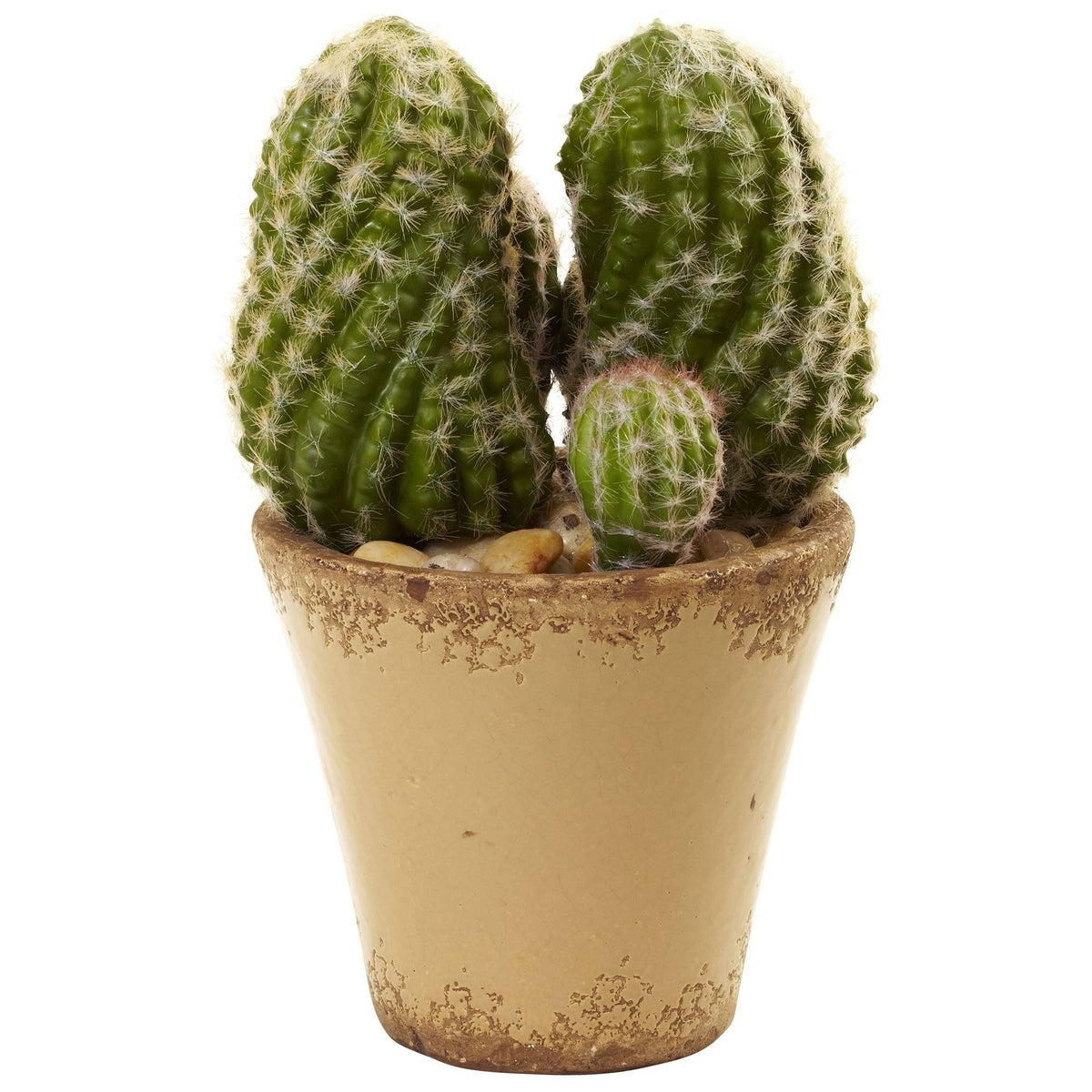 Cactus Garden w/Ceramic Planter, photo 2 of 2