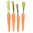 Artificial Carrots by Lee Display