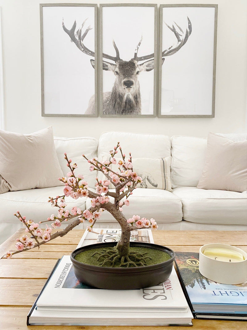 Cherry Blossom Bonsai Silk Tree