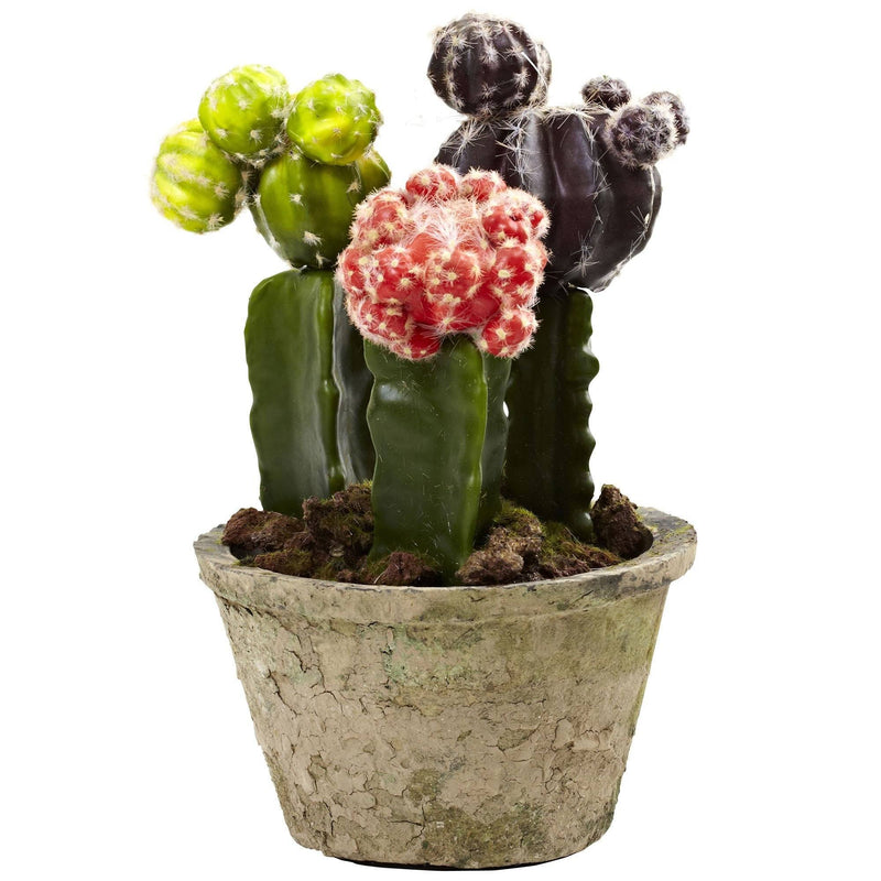 Colorful Cactus Gardens (Set of 2), photo 2 of 3