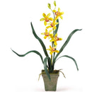 Cymbidium Orchid w/Vase (Set of 3)