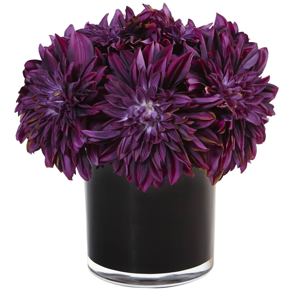 Dahlia Mum in Black Glossy Cylinder, photo 3 of 3