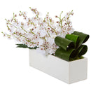 Dancing Lady Orchid in Rectangular Ceramic