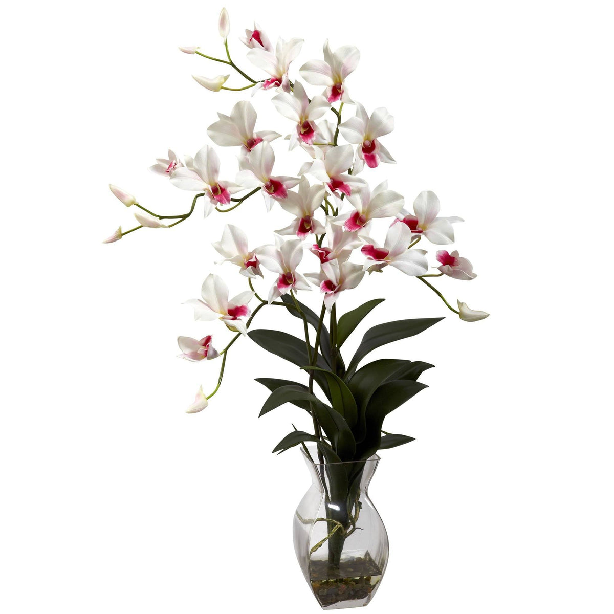 Dendrobium Orchid w/Vase Arrangement, photo 4 of 4