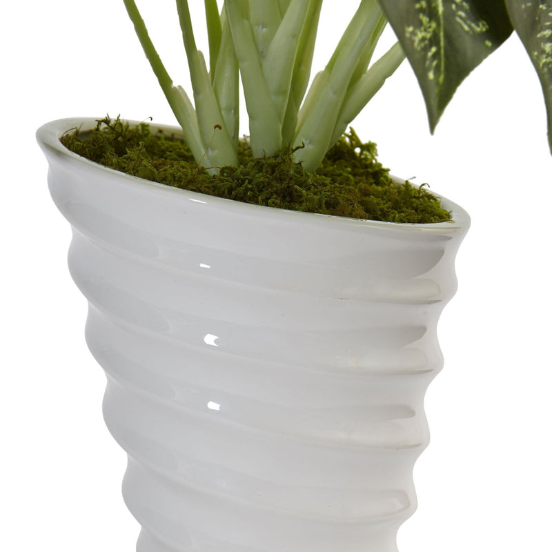 Diefenbachia in Swirl Ceramic, photo 2 of 2