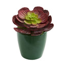 Echeveria Succulent Artificial Plant in Green Planter (Set of 2)