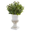 Eucalyptus and Grass Artificial Plant in White Urn (Set of 3)