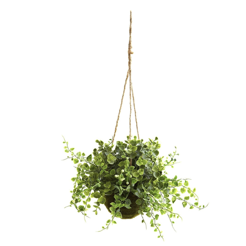 Eucalyptus, Maiden Hair & Berry Hanging Basket (Set of 3)