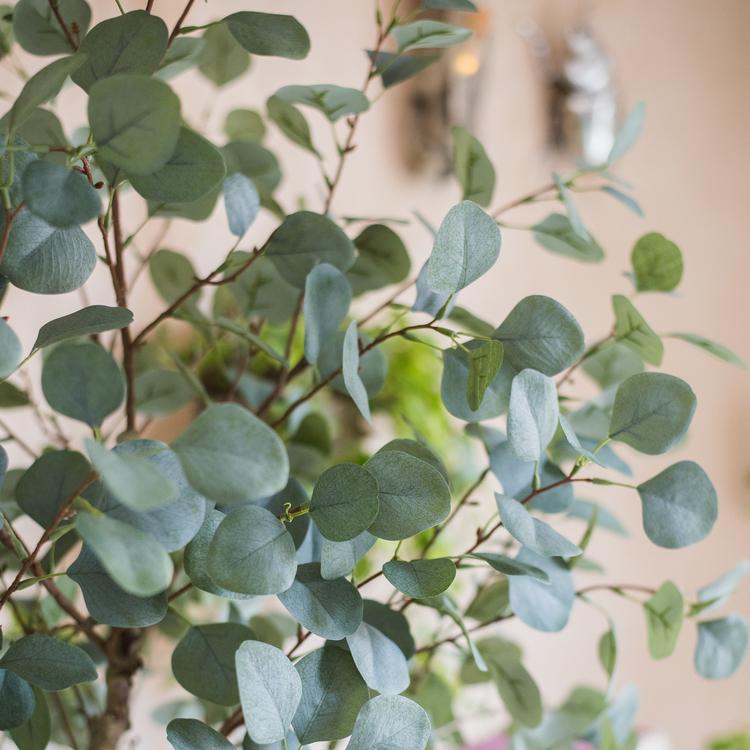 Artificial Faux Eucalyptus Tree In Pot