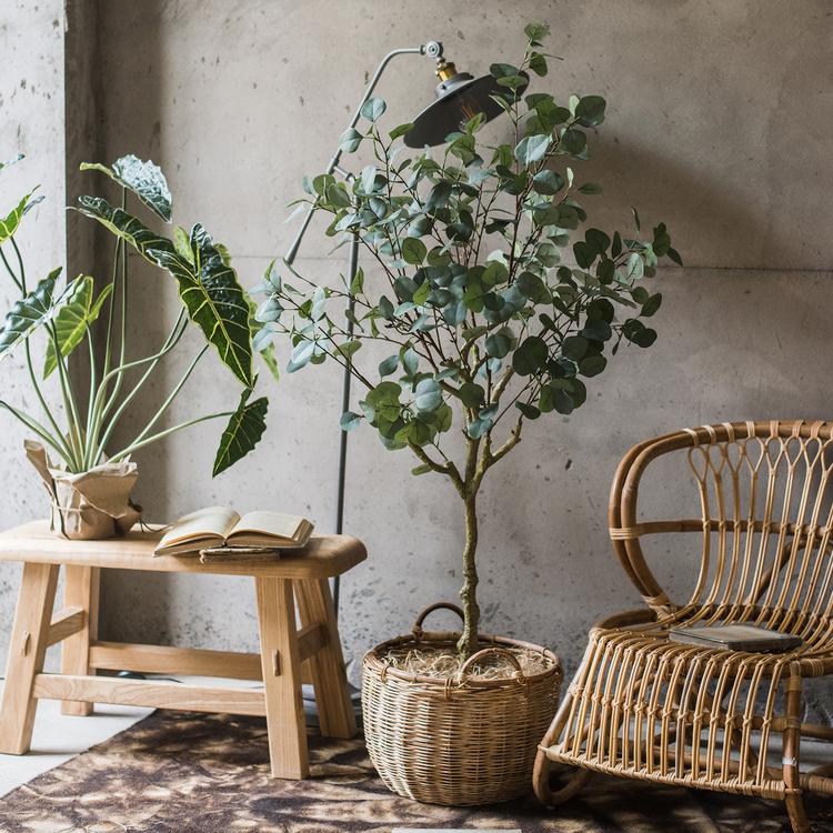 Artificial Faux Eucalyptus Tree In Pot