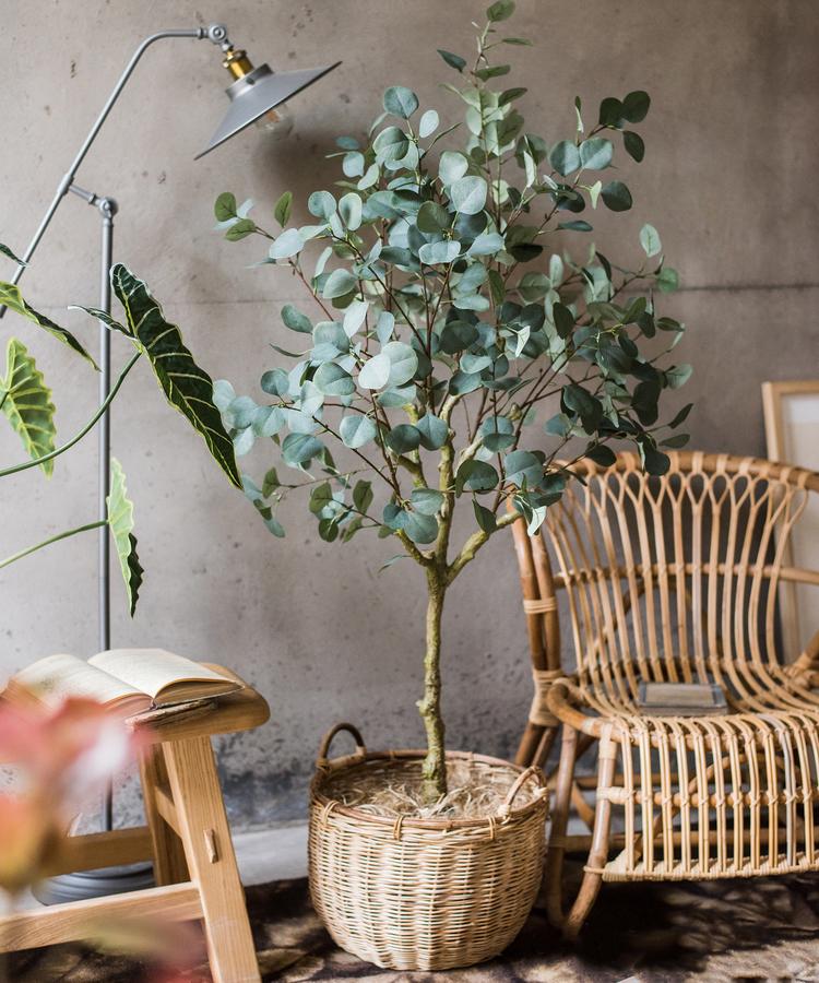 Artificial Faux Eucalyptus Tree In Pot