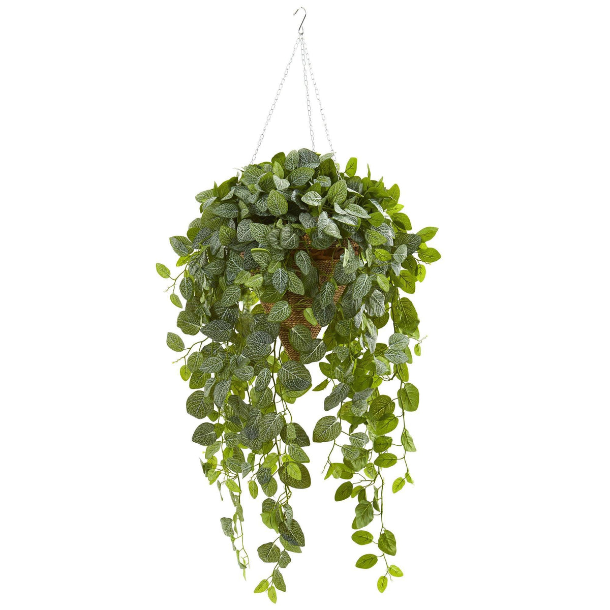 Fittonia Artificial Plant in Hanging Cone Basket (Real Touch), photo 2 of 2