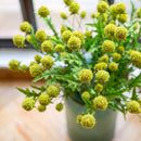 Faux Silk Artificial Flower Pompom Stem 28" Tall