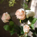 Faux Artificial Flower Silk 4 Rose Bloom Stem in Champagne Color 31" Tall by RusticReach