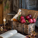 Artificial Fruit Artificial Red Apple Stem 15" Tall