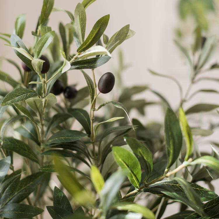 Artificial Fuax Large Olive Stem 41" Tall, photo 4 of 4