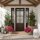 Geranium in Farmhouse Planter UV Resistant (Indoor/Outdoor) by Nearly Natural