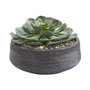 Giant Echeveria Succulent Artificial Plant