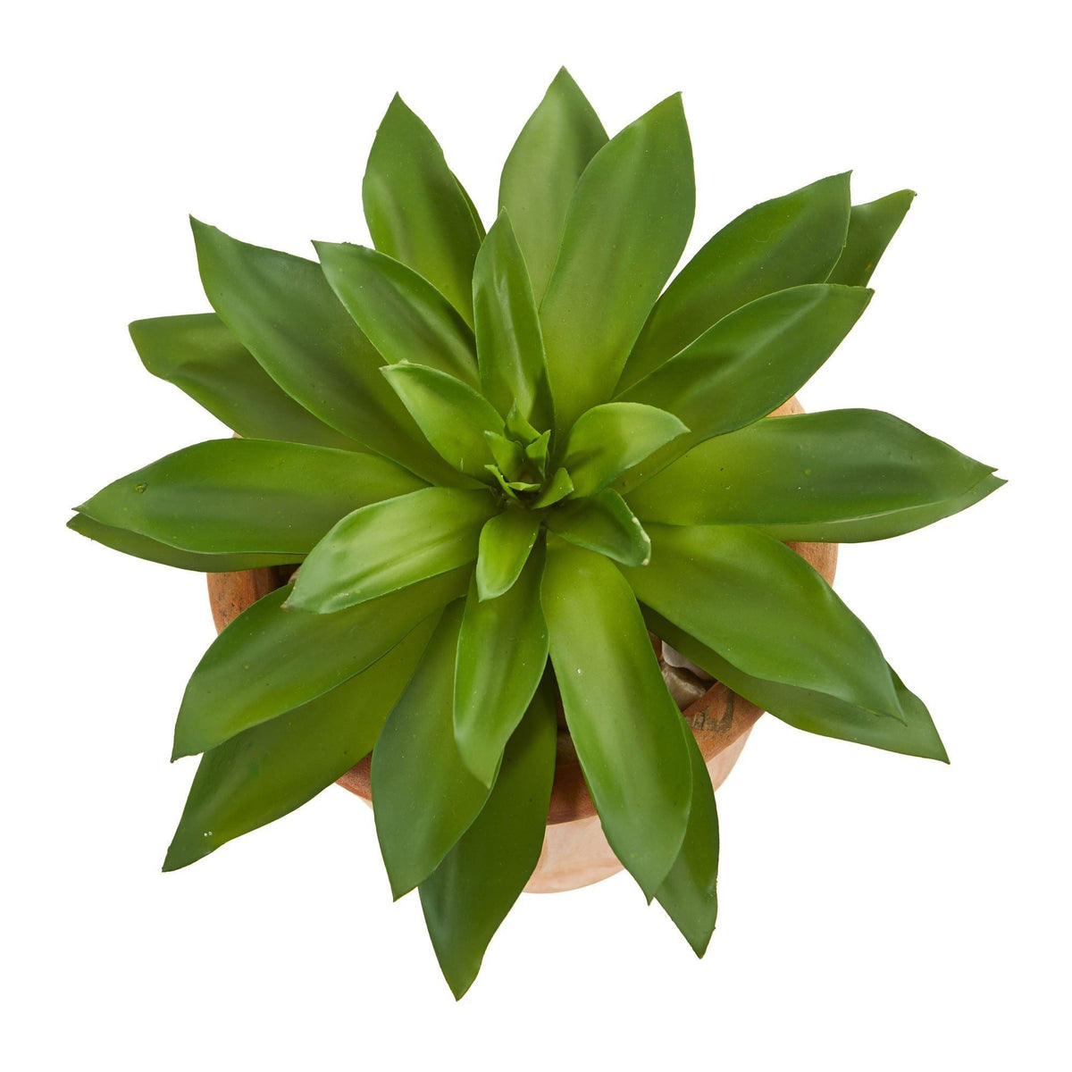 Giant Succulent Artificial Plant in Terra Cotta Planter, photo 2 of 2