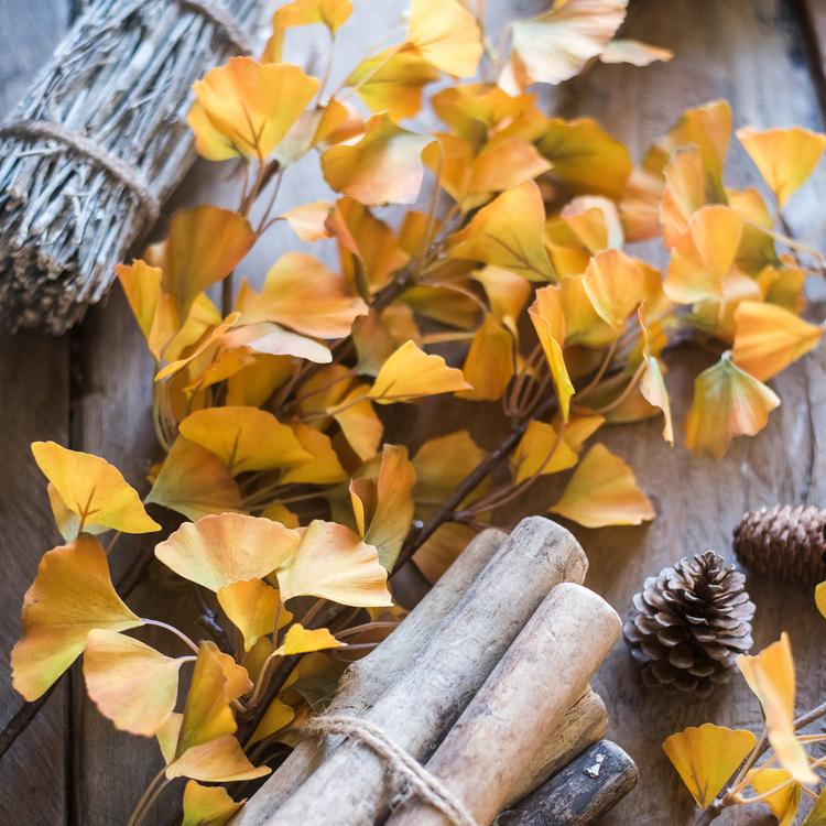 Artificial Ginkgo Stem in Yellow 37" Tall Faux