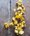 Artificial Ginkgo Stem in Yellow 37" Tall Faux