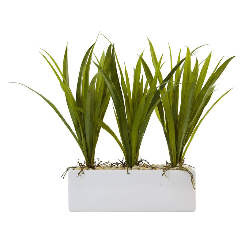 Grass in Rectangular Planter