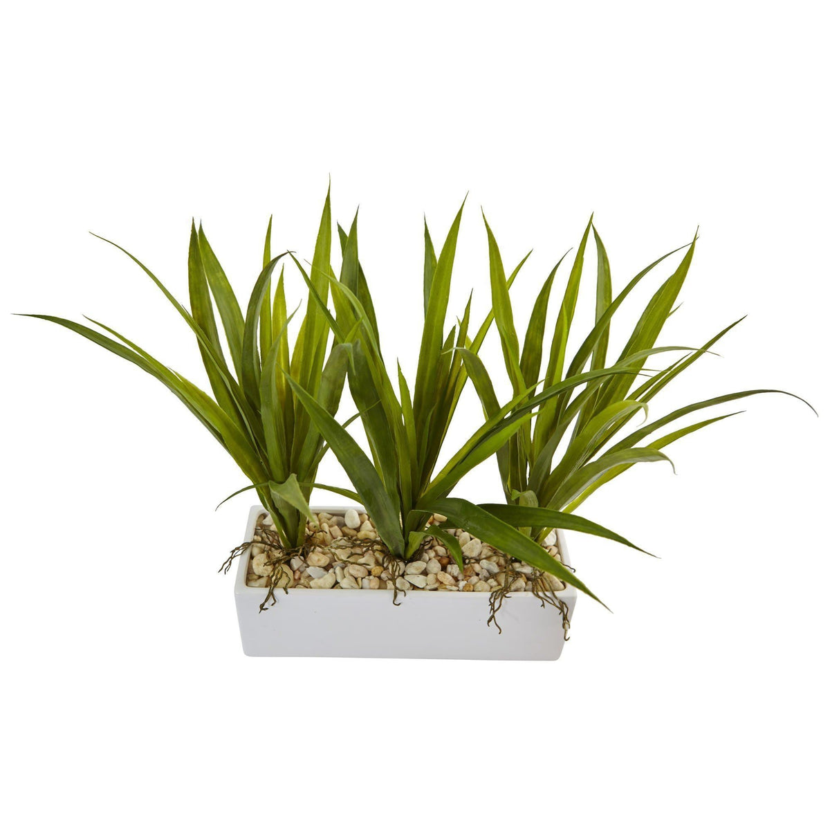 Grass in Rectangular Planter, photo 2 of 2