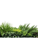 Sample Panel – Country Fern Vertical Garden (Small Sample) by Designer Plants USA
