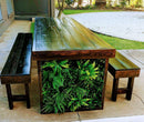 Sample Panel – Green Tropics Vertical Garden (Small Sample) by Designer Plants USA