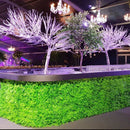 Sample Panel – Lush Fern Green Wall (Small Sample) by Designer Plants USA