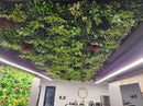 Sample Panel – Lush Spring Vertical Garden (Small Sample) by Designer Plants USA