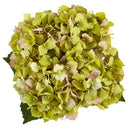 Hydrangea in New Baby Ceramic