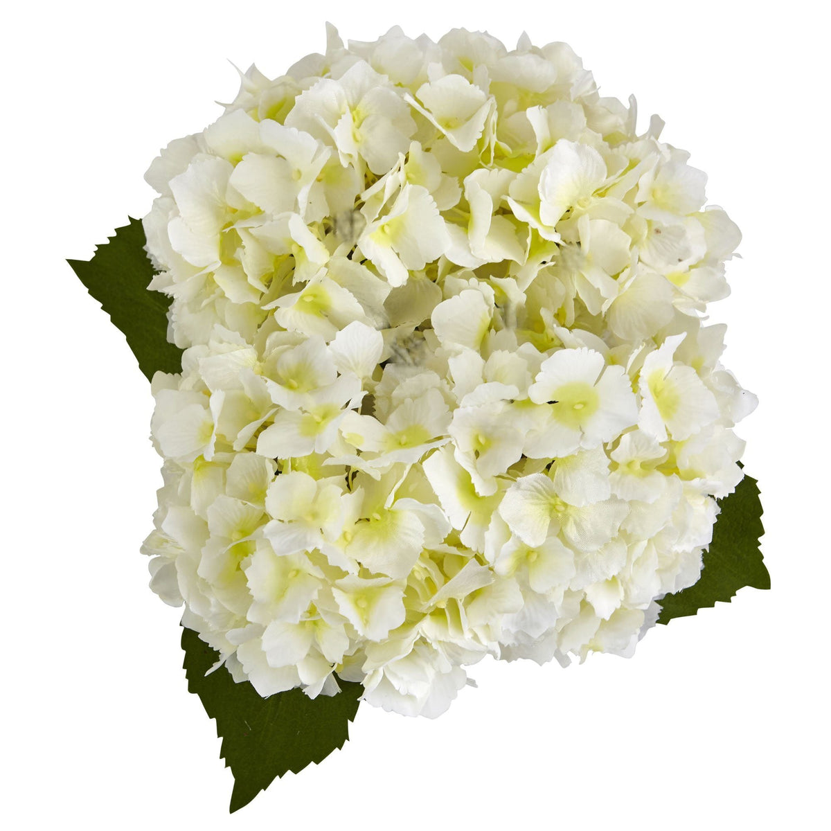 Hydrangea in New Baby Ceramic, photo 6 of 10